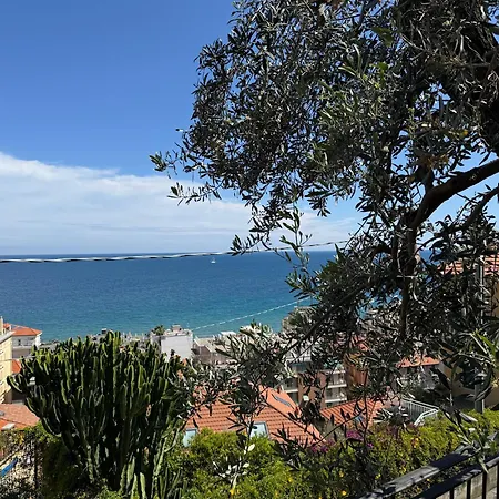 Oasi Del Relax, Piscina A 500 Mt Dal Mare דירה